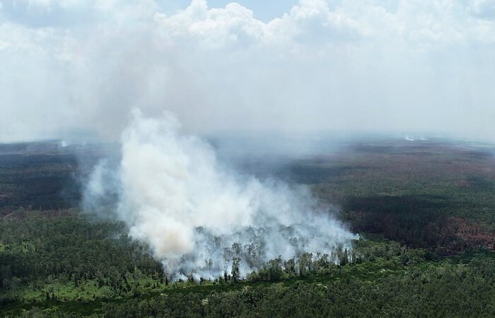 Koalisi Sipil Desak Lembaga Keuangan Terapkan Kebijakan No Fire