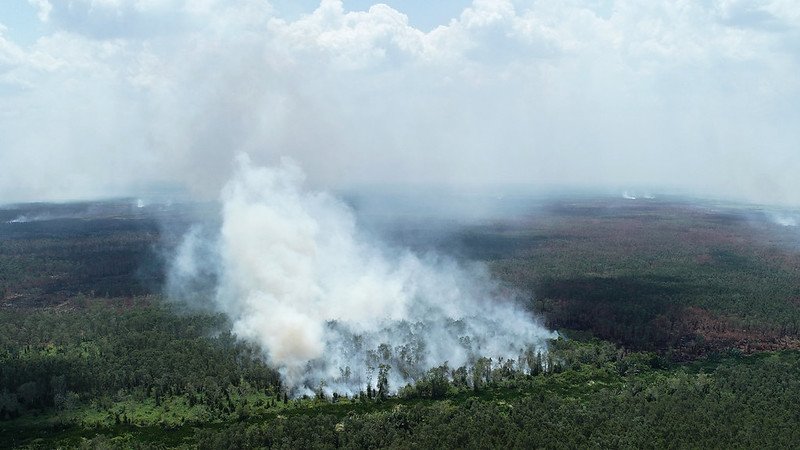 Koalisi Sipil Desak Lembaga Keuangan Terapkan Kebijakan No Fire