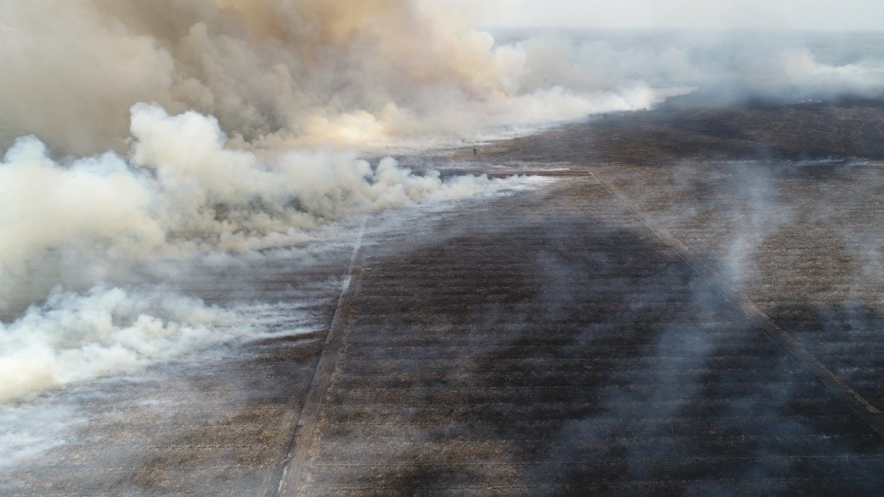 Yang Terbakar Bukan Hanya Gambut, Melainkan Cara Kita Memahaminya