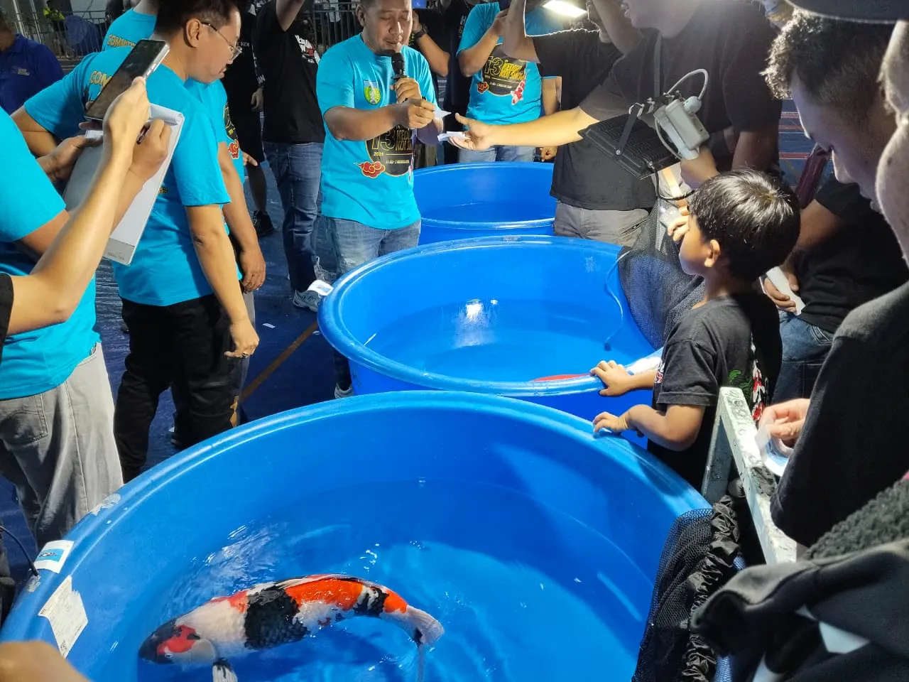 Kediri Koi Show ke-13 Sedot 868 Lebih Peserta Nasional: Gairahkan Pasar & Angkat Potensi Pembudidaya Lokal | beritajatim.com